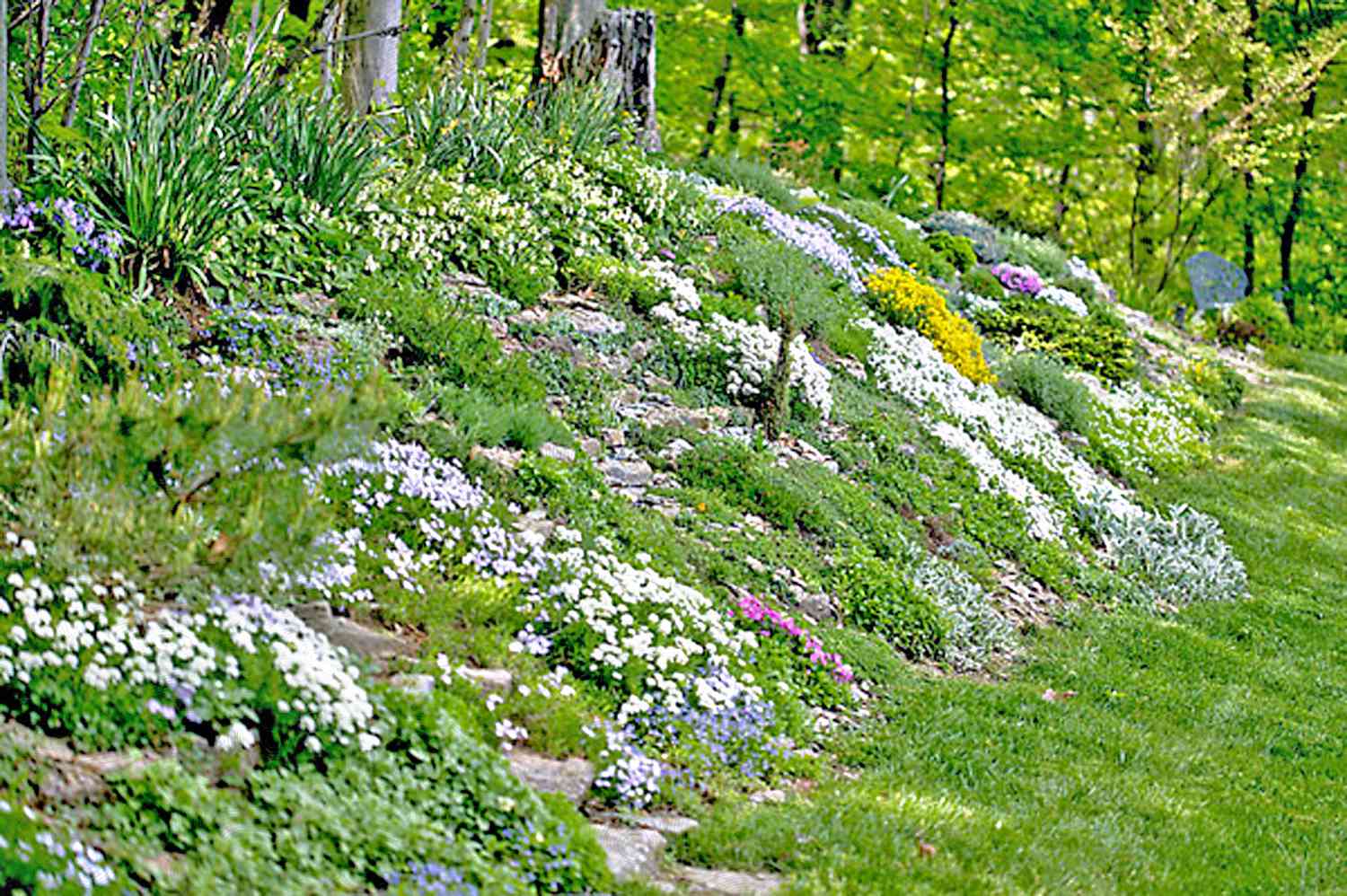 Perennial Hillside Garden Design
