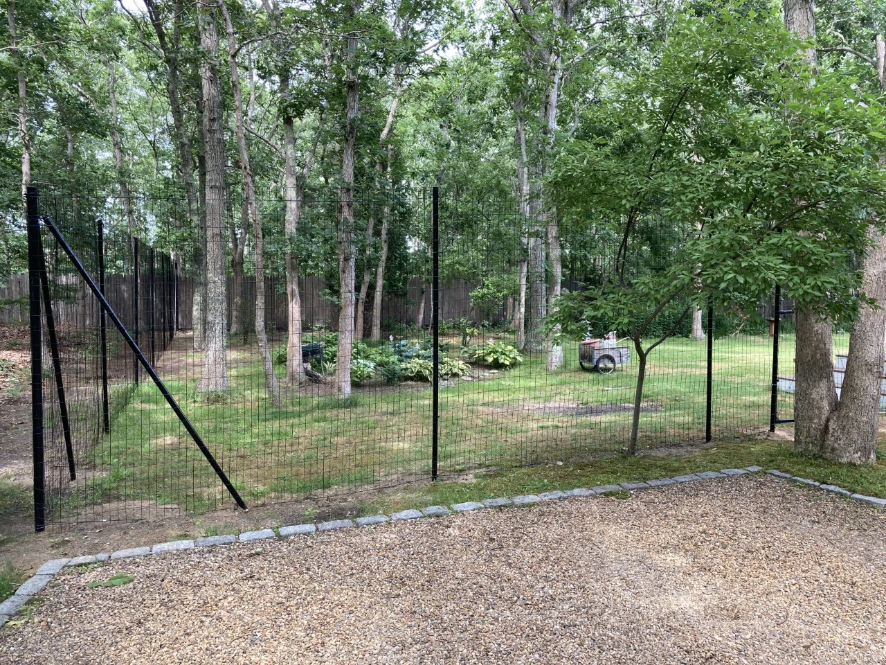 A backyard perennial garden enclosed by an eight-foot black mesh deer fence attached to tall posts, with mature flower beds inside on a sunny day