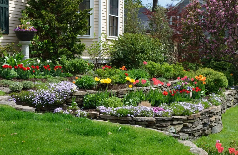 A backyard slope with small stone terraces holding pockets of perennials and mulch on a sunny day