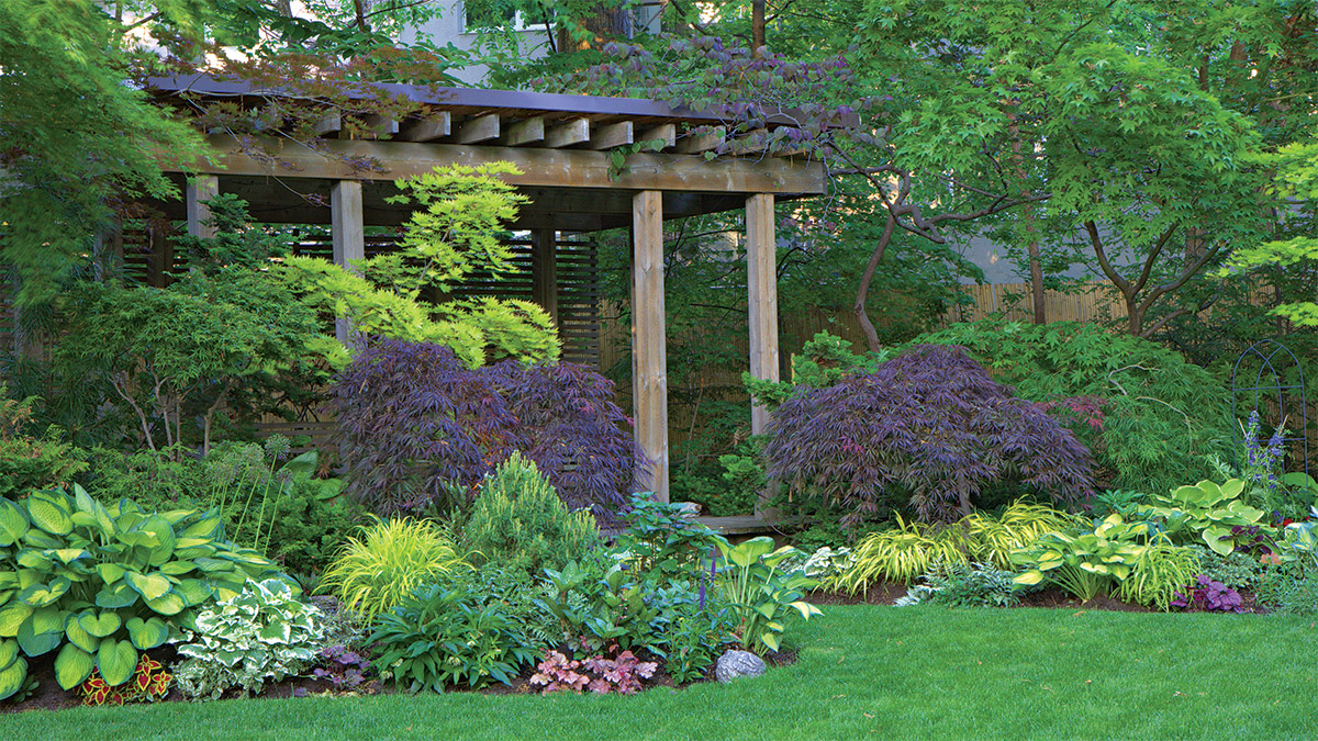 A curving perennial border in dappled shade with repeated drifts of hostas and brunnera, tall ferns in back, and a clean mulched edge beside a lawn