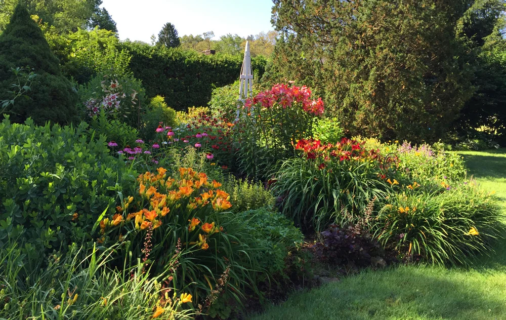 Layering Perennials for Depth and Balance