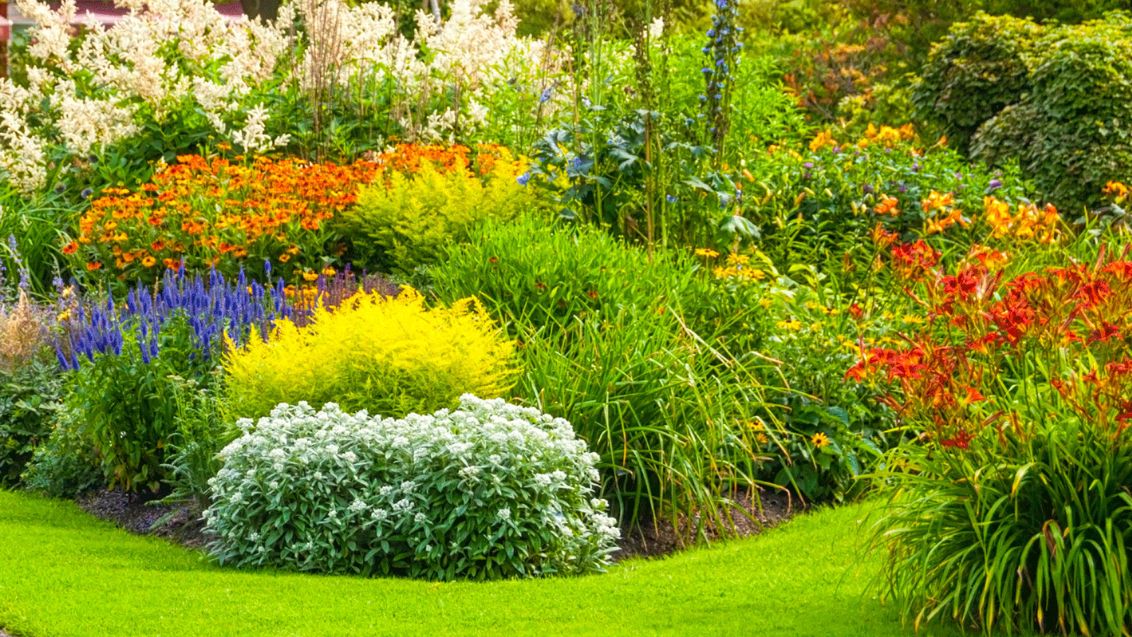 Perennial Island Bed Layout for 360-Degree Color