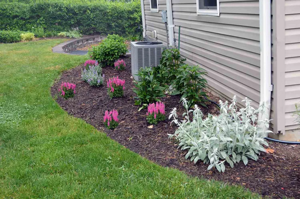 A freshly watered garden bed with small plant markers where bare-root perennials were planted, with light mulch pulled back from each crown
