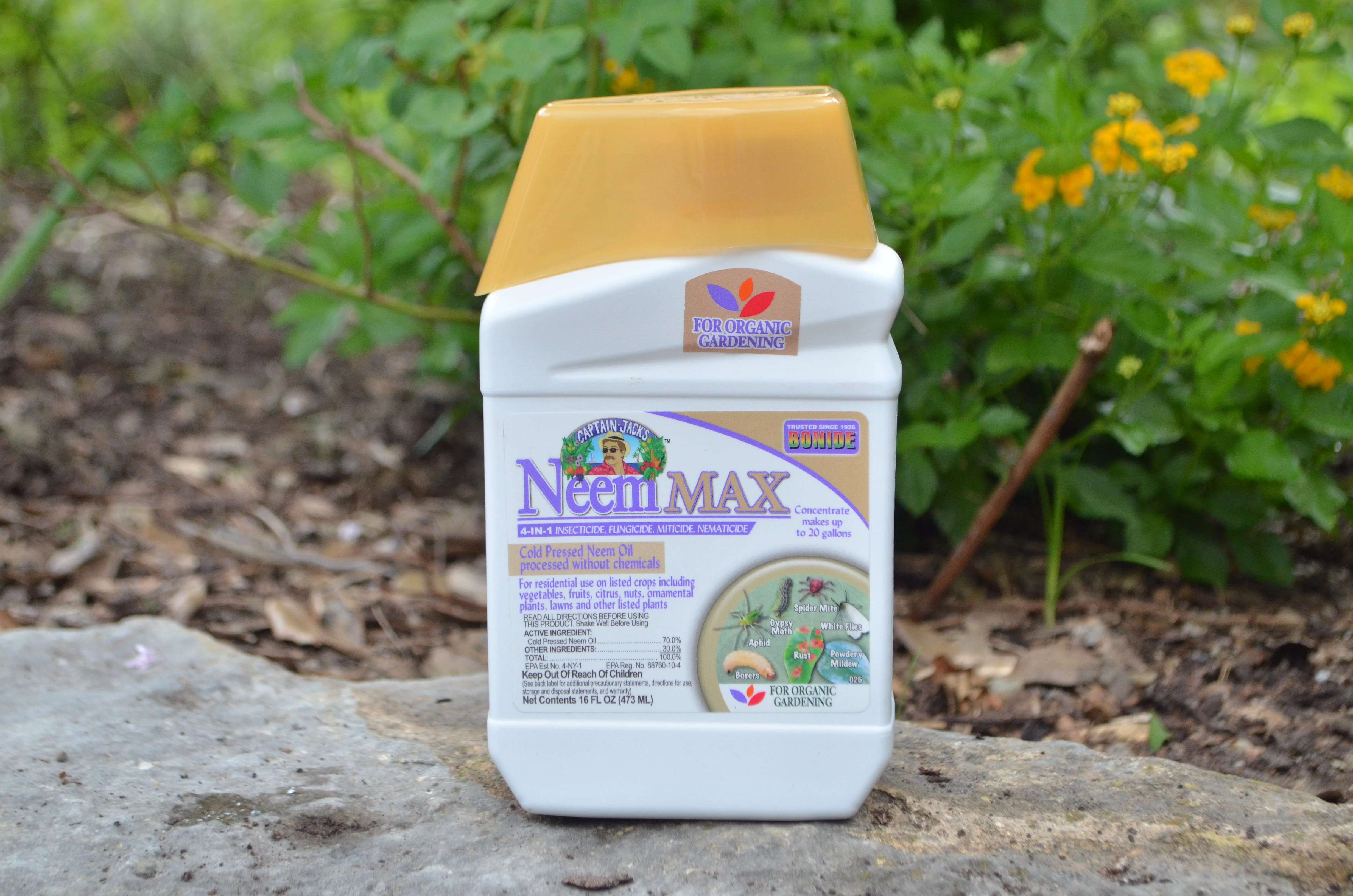 Neem Oil vs. Insecticidal Soap for Flower Pests
