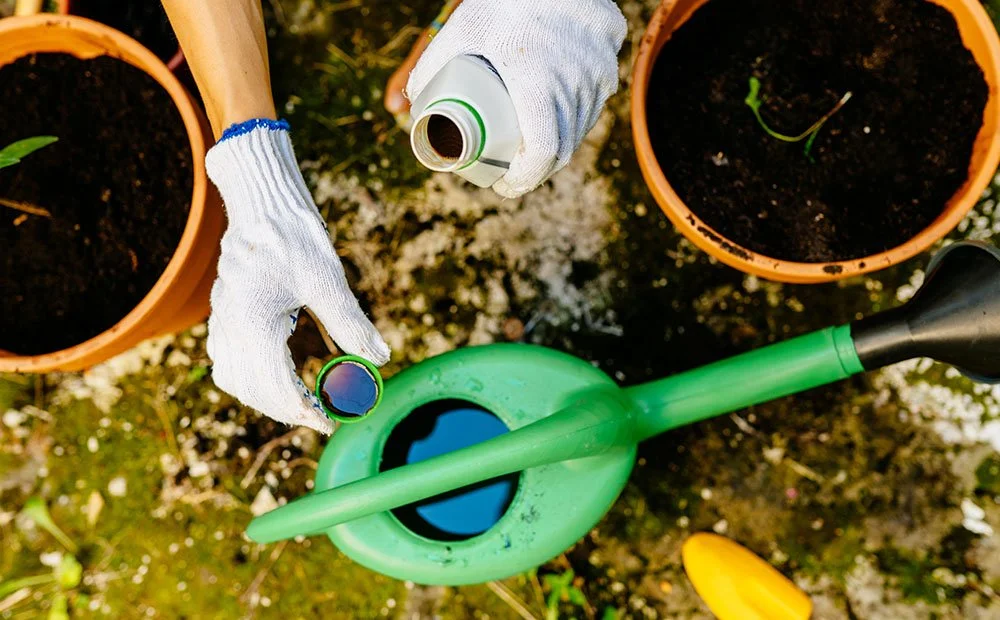 A gardener mixing a water-soluble fertilizer in a watering can beside a patio filled with perennial containers