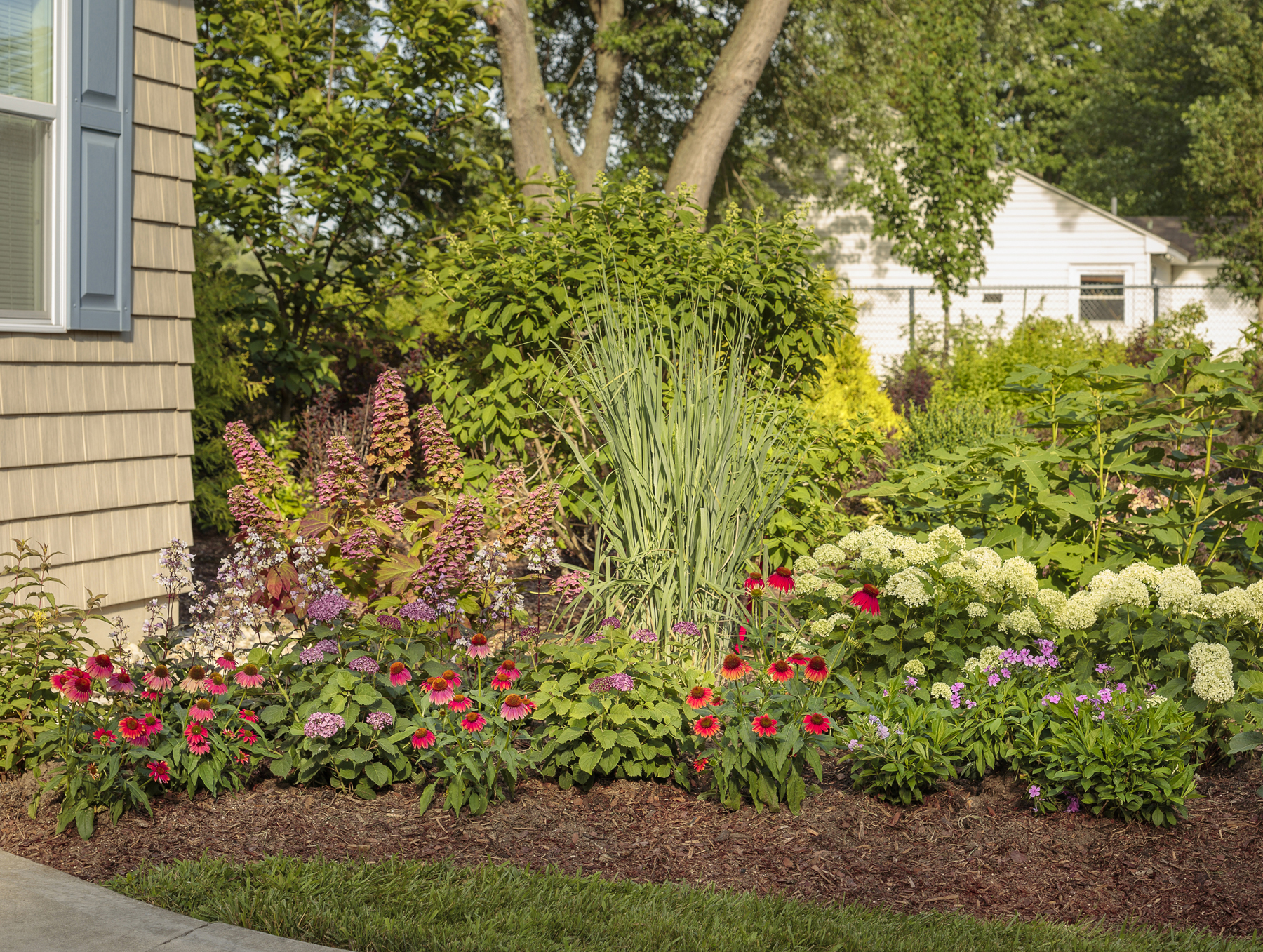 Fertilizing Perennials: Organic vs. Synthetic and When to Feed