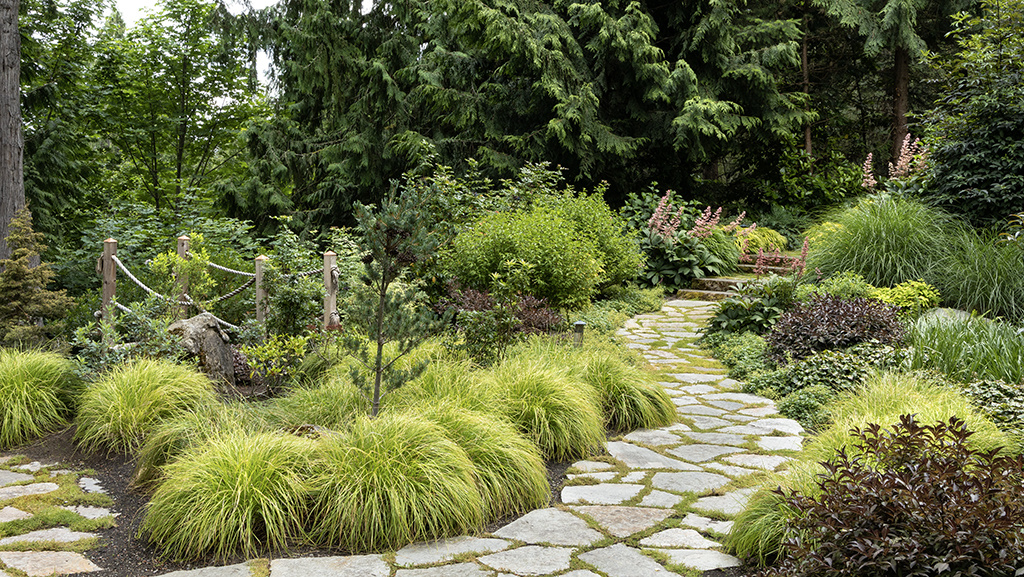 Woodland Perennial Garden Layouts for Shade