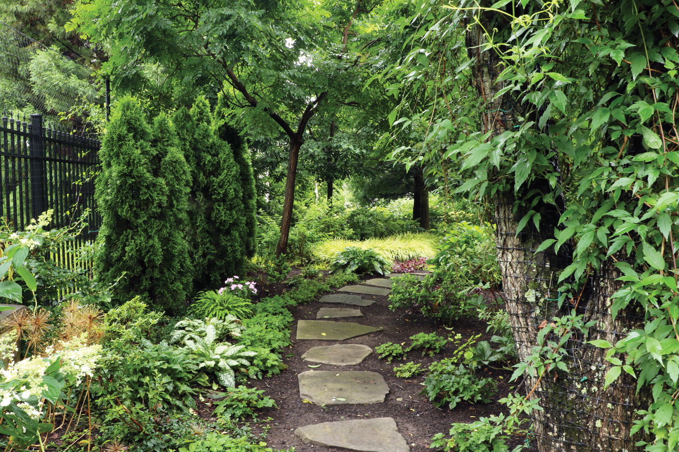 A narrow garden path through shade with small perennial planting pockets on either side, featuring hellebores, hostas, and ferns in repeating groups
