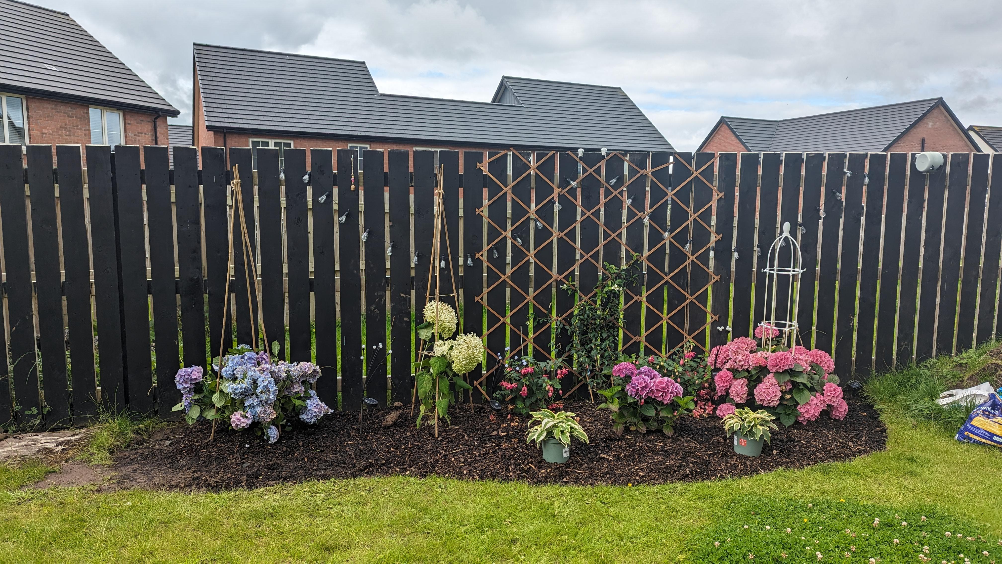 A part shade perennial border beside a fence featuring coral bells, brunnera, and astilbe with layered foliage in a narrow planting strip