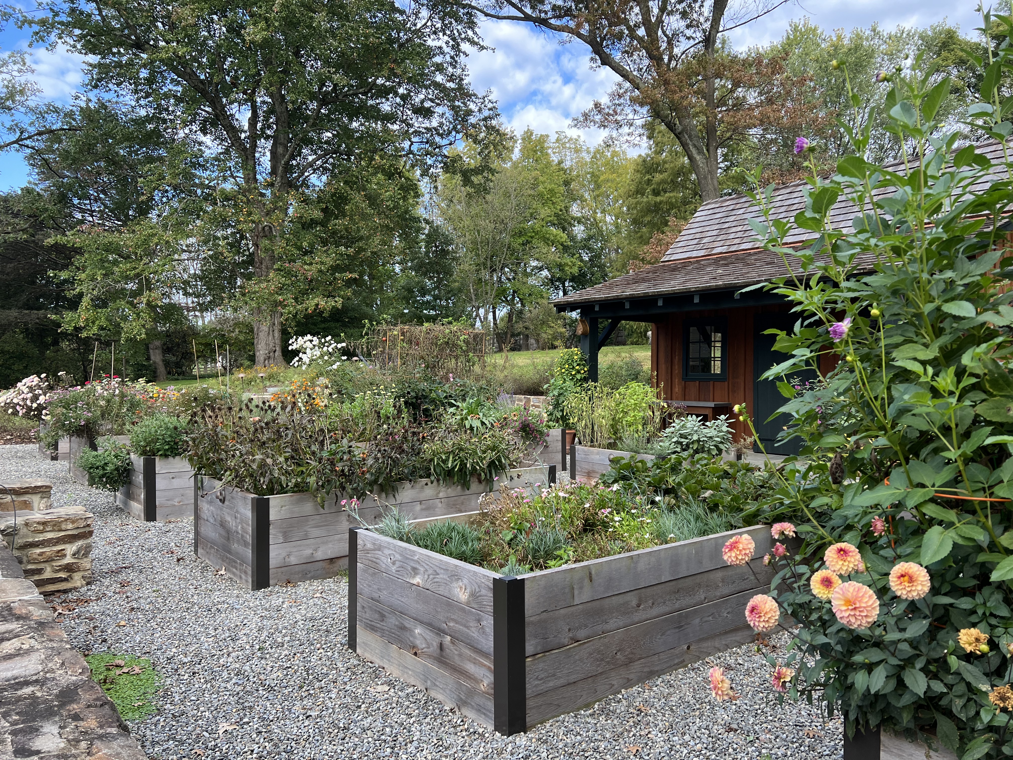 A slightly mounded perennial planting area with visible mulch kept away from the plant crowns and well-draining soil texture