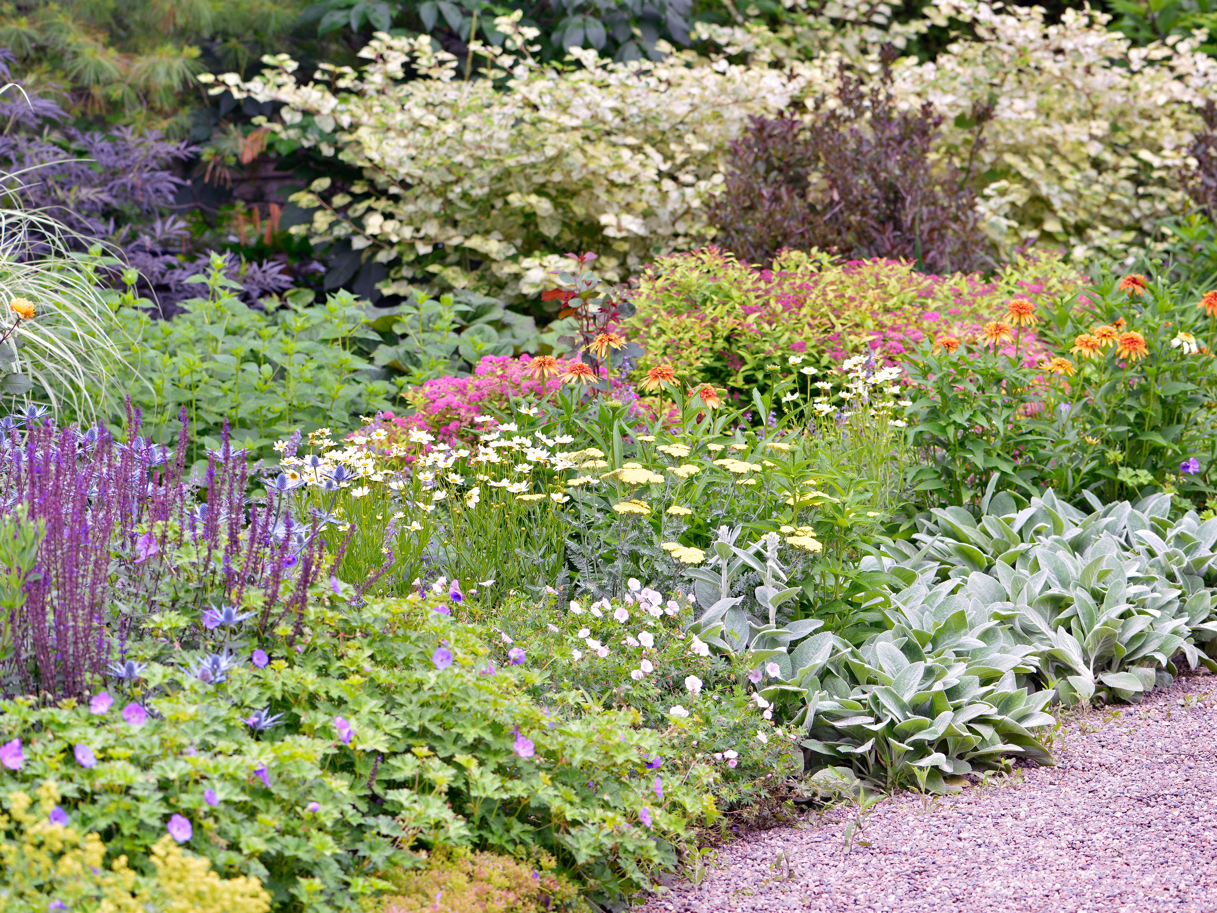 Continuous Bloom Perennial Garden Design