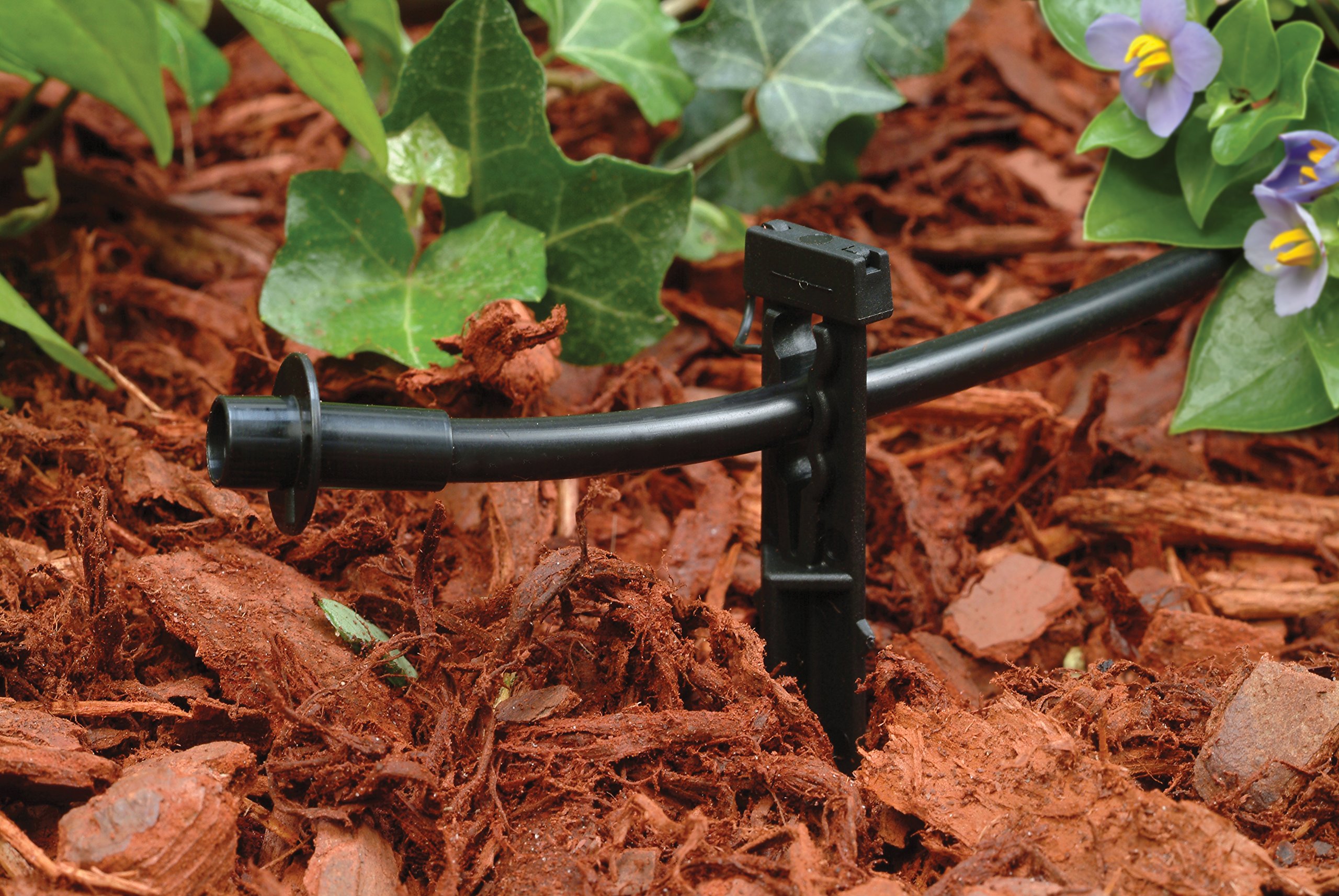 Hands placing 1/2 inch drip irrigation tubing along a perennial garden bed edge with plastic stakes holding the line in place